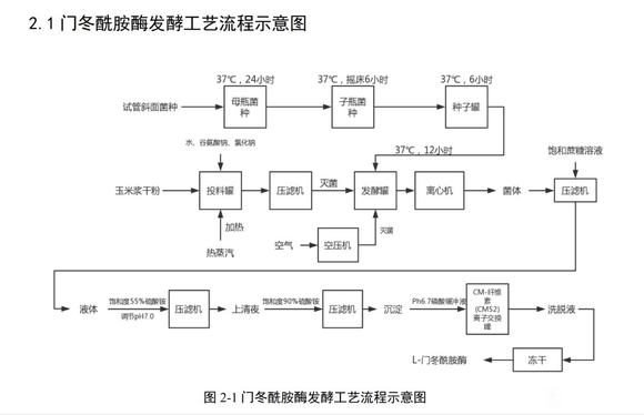 门冬酰胺酶发酵设计-1.jpg