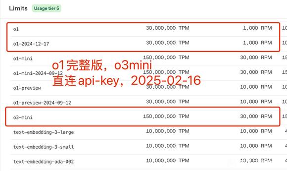 直连 O3-mini，o1,o1-2021-12-17-1.jpg